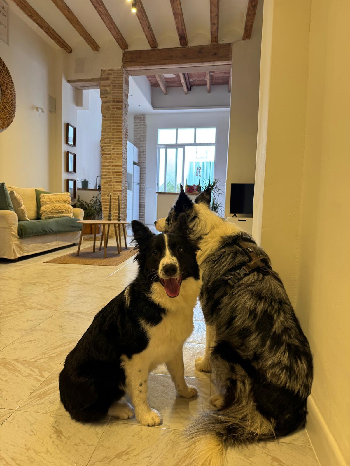 Casa Filo, alojamiento rural pet friendly cerca de Gandía